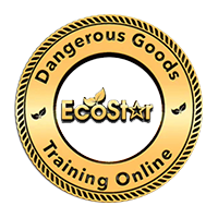 EcoStar_Ins_Logo_footer2